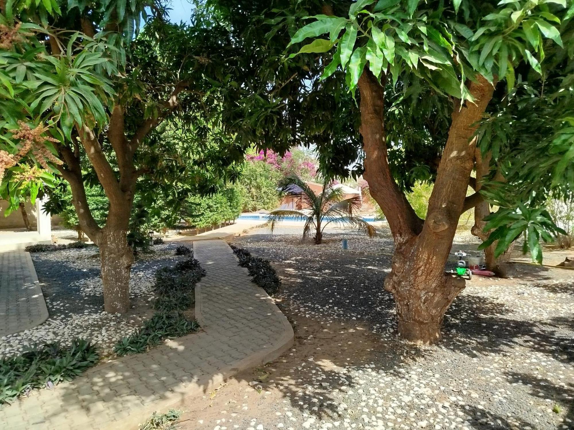 Hotel Al Jannah Bis Somone Esterno foto